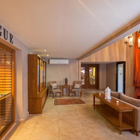 酒店 Alaaddin - Adult Only 4*