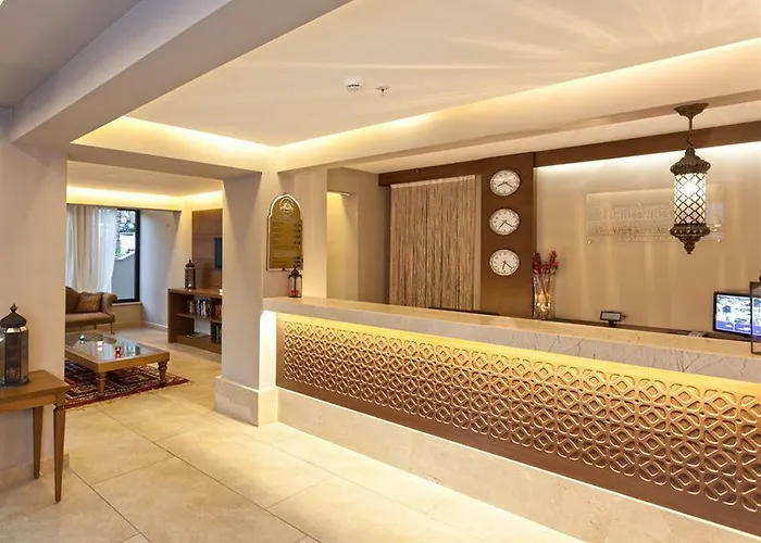 فندق علاء الدين بيتش 4*